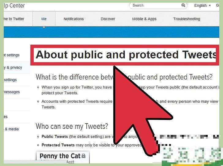 怎么保护Twitter账户的隐私(twitter隐私怎么看)

