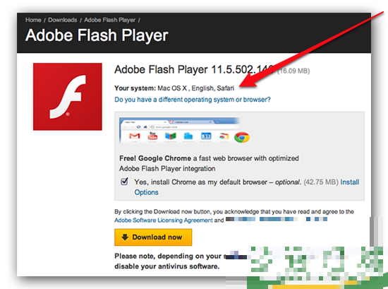 如何安装 Adobe Flash Player